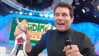 Justiça toma atitude drástica contra o SBT após polêmica com rã no 'Domingo Legal'; multa é de R$ 100 mil em caso de descumprimento