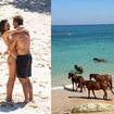 O hotel de luxo na Indonésia onde Alessandra Ambrósio ficou noiva: coração de pétalas, cavalos no mar e diárias de até R$ 80 mil