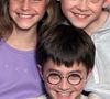 Chapéu Seletor de Harry Potter escolhe as Casas dos bruxos na saga
