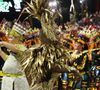 Erika Januza escolheu o Carcará por ser o pássaro mensageiro de Malunguinho, homenageado pelo samba-enredo