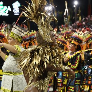 Erika Januza escolheu o Carcará por ser o pássaro mensageiro de Malunguinho, homenageado pelo samba-enredo