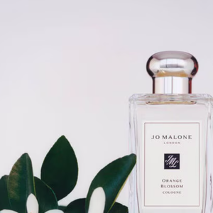O Perfume Orange Blossom, de Jo Malone London, revela uma fragrância extremamente suave e romântica, com toque delicado e relaxante de lírio, vetiver, além de flor de laranjeira e lírio aquático.