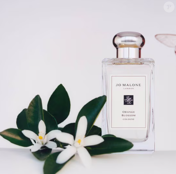 O Perfume Orange Blossom, de Jo Malone London, revela uma fragrância extremamente suave e romântica, com toque delicado e relaxante de lírio, vetiver, além de flor de laranjeira e lírio aquático.