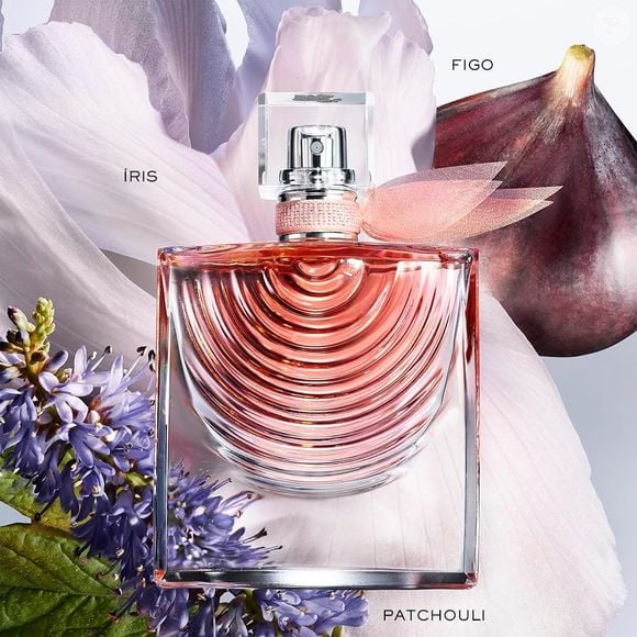La Vie est Belle Iris Absolu (Lancôme) - 50 ml | R$472,99 - a composição ainda reúne notas de groselha, figo, cassis, bergamota e pimenta rosa na abertura. No coração aparecem jasmim sambac e flor de laranjeira. Já o fundo combina Iris Pallida, íris upcycling, patchouli, acorde gourmand e sândalo