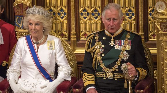 Conforme relembra a revista People, Príncipe Harry escreveu em sua autobiografia 'Spare' que teve sentimentos complexos em relação à Rainha Camilla, chegando a afirmar que acreditava ter sido usado para melhorar a imagem pública da madrasta