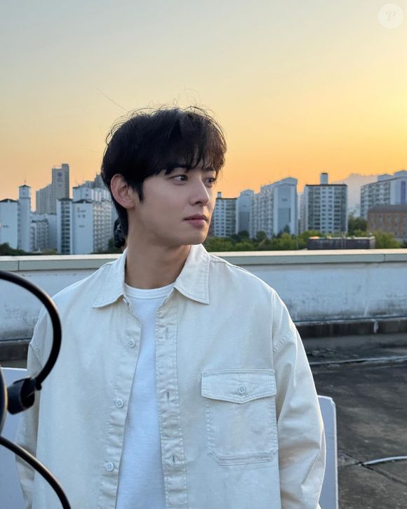 Em janeiro, a mídia coreana noticiou que Cha Eun-woo estava sendo cobrado pela Receita Federal em 20 bilhões de won, aproximadamente R$ 72 milhões