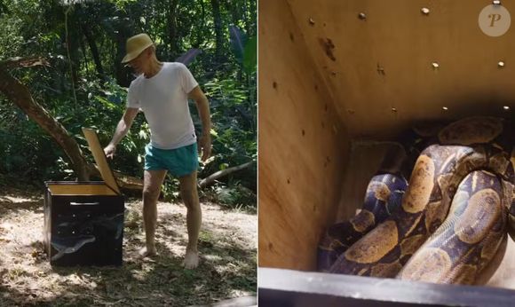 "Estou aqui para deixar tudo crescer e soltar o máximo de bicho que puder. Não tenho pretensão de mais nada. Só estou determinado a cuidar dessa floresta. Se eu nascesse de novo, queria vir guardião da floresta, um espírito guardião. Se bem que, já sou, né?", refletiu Ney Matogrosso no documentário