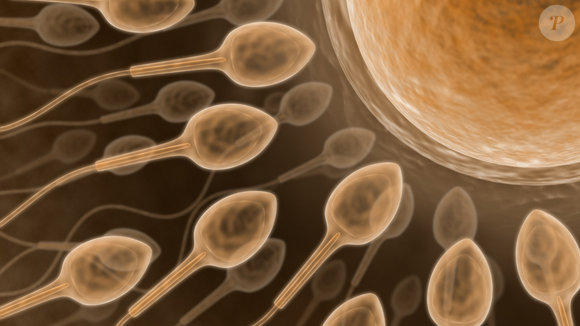 Hidrogel bloqueia passagem dos espermatozoides sem afetar ejaculação ou prazer, segundo testes clínicos