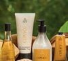 O Ekos Cupuaçu ganhou destaque entre as novidades da Natura. A linha apresenta o cupuaçu como bioativo e traz o Creme Firmador para o Bumbum, que, segundo a marca, reduz estrias e celulites em até duas semanas