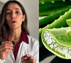 Mariangeles Jofre, dermatologista: 'Cortar um pedaço de aloe vera da planta e aplicá-lo sobre uma queimadura não seria a melhor ideia'