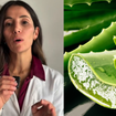 Mariangeles Jofre, dermatologista: 'Cortar um pedaço de aloe vera da planta e aplicá-lo sobre uma queimadura não seria a melhor ideia'