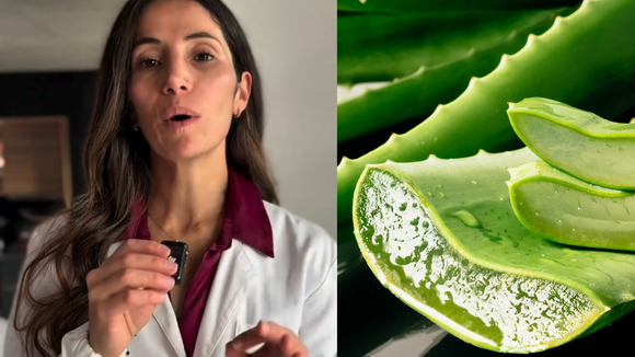 Mariangeles Jofre, dermatologista: 'Cortar um pedaço de aloe vera da planta e aplicá-lo sobre uma queimadura não seria a melhor ideia'