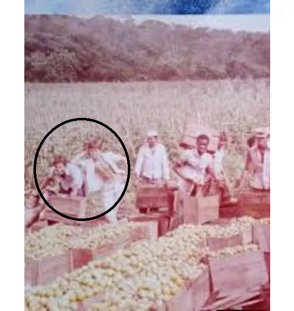 Leandro e Leonardo antes da fama: irmãos aparecem em uma lavoura de tomates ao lado do pai, o lavrador Avelino Virgulino da Costa