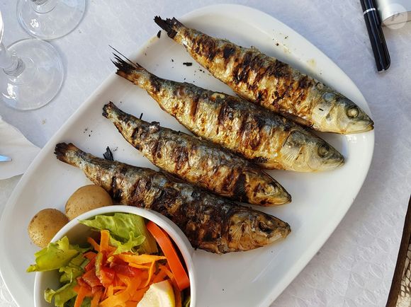 Fonte de proteína e ácidos graxos ômega-3 , ela também pode resolver seu dilema do jantar rapidinho com receitas bem fáceis.