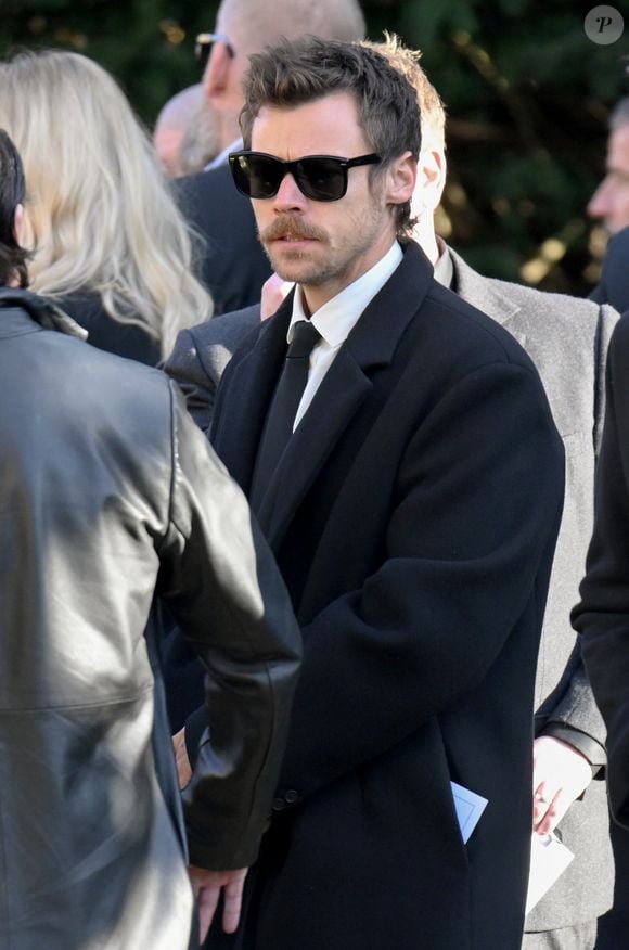 Harry Styles impressiona com seu estilo de moda