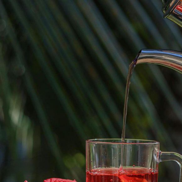 Chá de hibisco também pode ajudar a reduzir o acúmulo de gordura no fígado, além de prevenir infecções urinárias