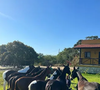 A ligação de Mauricio Mattar com o campo não começou agora. O interesse por cavalos, natureza e vida rural vem desde a infância, mas o projeto ganhou forma depois da gravação de 'Dona Xepa' em 2013.