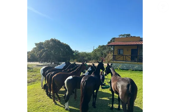 A ligação de Mauricio Mattar com o campo não começou agora. O interesse por cavalos, natureza e vida rural vem desde a infância, mas o projeto ganhou forma depois da gravação de 'Dona Xepa' em 2013.