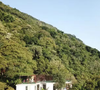 A famosa 'mansão na árvore' de Caio Blat está à venda e chama atenção não apenas pelo valor milionário, mas principalmente pelo projeto completamente integrado à natureza.