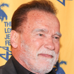 Nada de 'Exterminador do Futuro' na vida real: Arnold Schwarzenegger doa terreno de 16 hectares, avaliado em mais de meio milhão de dólares, para preservar ecossistema protegido nas montanhas da Califórnia