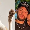 É um dos 3 nomes MAIS amados no Brasil por donos de pet: coincidência une escolha de Neymar e Bruna Biancardi a ranking sobre animais