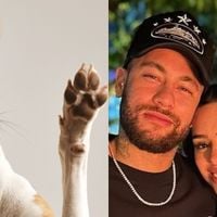 É um dos 3 nomes MAIS amados no Brasil por donos de pet: coincidência une escolha de Neymar e Bruna Biancardi a ranking sobre animais