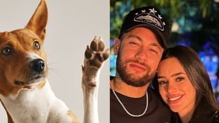 É um dos 3 nomes MAIS amados no Brasil por donos de pet: coincidência une escolha de Neymar e Bruna Biancardi a ranking sobre animais