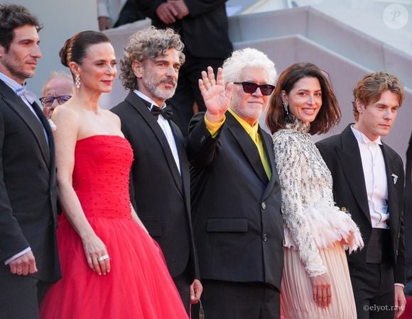 Famoso por seu olhar artístico, o diretor fez das cores intensas e dos personagens cheios de conflitos marcas de seu estilo cinematográfico