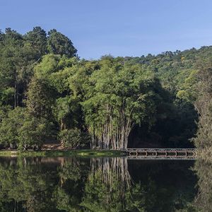 A Polícia Provincial de Ontário (OPP) anunciou, na última quinta-feira (4), que os ossos encontrados em 1980 no Parque Algonquin pertenciam a Singer. A descoberta encerra um dos casos mais antigos de pessoa não identificada na província
