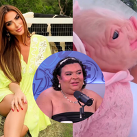 Nicole Bahls viraliza ao mostrar 'bebê reborn suína' vestida como gente: 'Homenagem à Rainha Mattos'