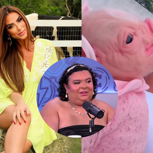 Nicole Bahls viraliza ao mostrar 'bebê reborn suína' vestida como gente: 'Homenagem à Rainha Mattos'