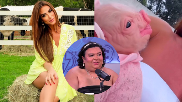 Nicole Bahls viraliza ao mostrar 'bebê reborn suína' vestida como gente: 'Homenagem à Rainha Mattos'