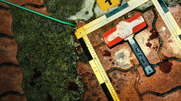 As vítimas do serial killer eram, em sua maioria, pessoas idosas, massagistas e mulheres jovens
