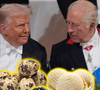 Enquanto rei Charles III serviu ovo de codorna, ameixa escaldada e sorvete de baunilha em jantar bilionário com Donald Trump, chef brasileiro critica padrões britânicos