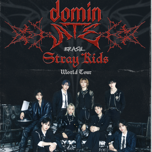 Stray Kids também se apresenta em São Paulo neste sábado (05)