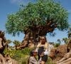 Em clima de conto de fadas, o casal posou em frente ao castelo da Cinderela no Magic Kingdom, em Orlando