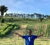 Fazenda de Marcos Palmeira é gigantesca tem cerca de 200 hectares de terra