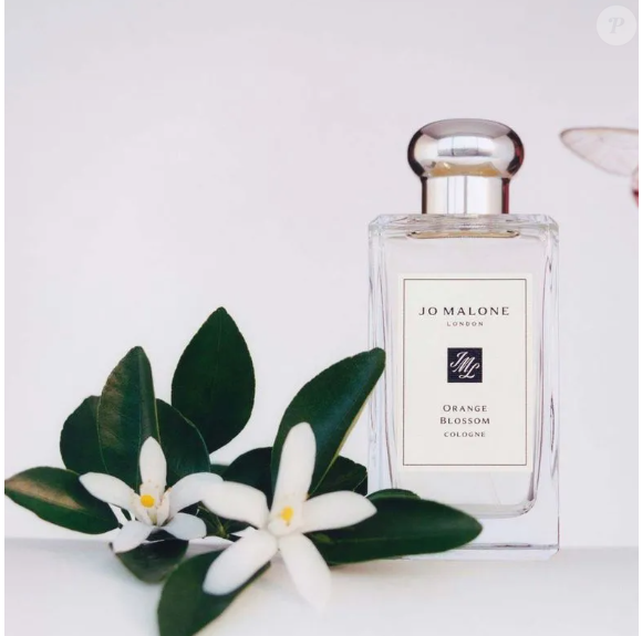 Outro perfume também muito associado à Kate Middleton é o English Pear & Frésia, um perfume fresco, também da perfumaria importada Jo Malone.