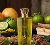 O Asir L'Qalb combina cítricos vibrantes, notas aromáticas e um fundo amadeirado levemente adocicado em uma fragrância descrita como suave e charmosa, sem perder a leveza