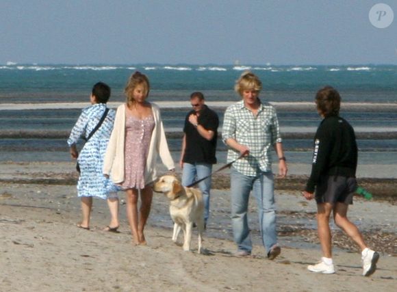 Quantos Marleys cabem em um filme com Jennifer Aniston e Owen Wilson? A resposta vai surpreender até o maior fã de pets