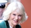 ‘Parece um comercial de xampu’, disse Camilla Parker-Bowles a amigos próximos