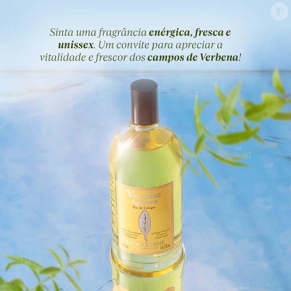 O fundo amadeirado de cedro proporciona mais profundidade à fragrância, tornando-a uma excelente opção para quem deseja manter uma sensação revigorante mesmo durante os dias frios