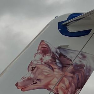 Pintura simbólica com loba marca o jatinho usado por Shakira em viagens