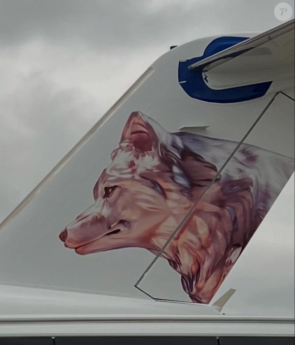 Pintura simbólica com loba marca o jatinho usado por Shakira em viagens