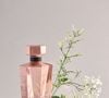 Animale Seduction For Woman (Animale) - 30ml | R$ 263,00 - aposta em uma combinação floral frutada sedutora que mistura cassis, toranja e framboesa logo na abertura