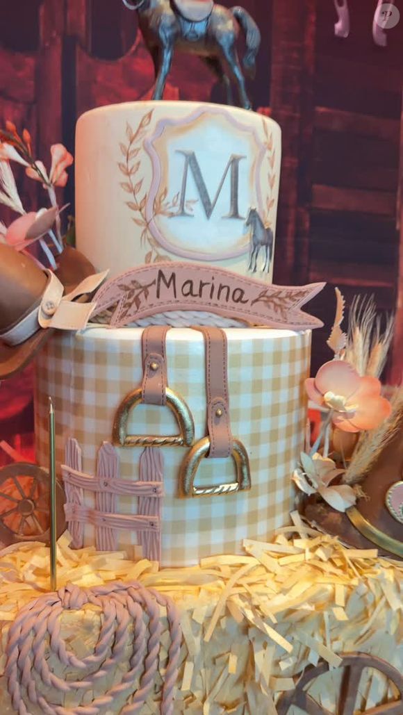 Festa das filhas gêmeas de Ivete Sangalo: elementos rurais decoraram o bolo de Marina