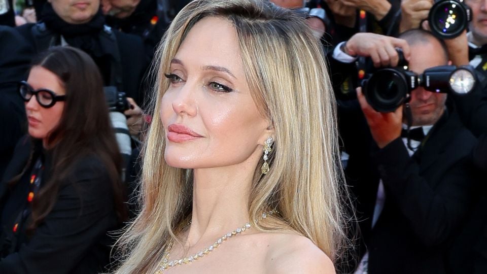 O investimento sustentável de Angelina Jolie em floresta do Camboja
