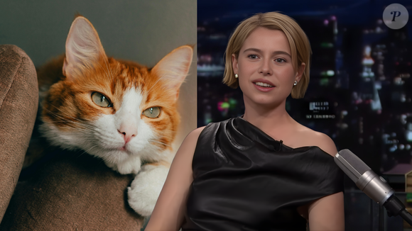 Atriz de 'Hamnet', Jessie Buckley esclarece polêmica após fala sobre gatos viralizar e diz em programa de Jimmy Fallon: 'Eu amo gatos'
