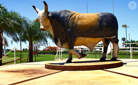 Em 2018, foi criado o Memorial do Touro Bandido no Parque do Peão de Barretos. O animal morreu em 2009, vítima de câncer de pele