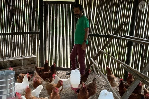 Na fazenda, Marcos Palmeira se dedica à criação de animais que incluem galinhas até gados